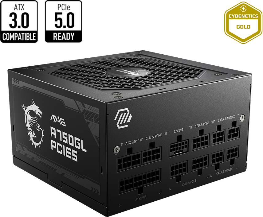 Bloc alimentation MSI MAG A750GL PCIE5 750W (306-7ZP8B11-CE0)