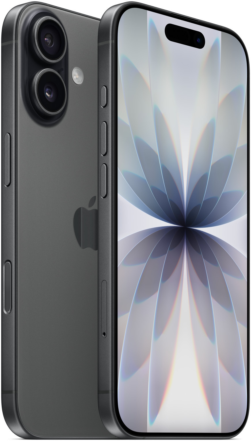 Apple iPhone 17 256 Go Noir (MG6J4AF/A)