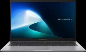Ordinateur portable Asus ExpertBook P1 (P1503CVA-NJ0991)