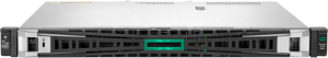Serveur HPE ProLiant DL20 Gen11 (P65395-421)