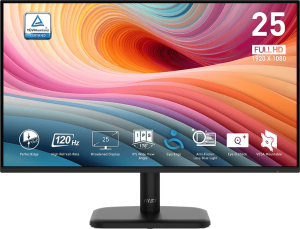 Écran 25" Full HD MSI Pro MP251L E2 (9S6-3PD2CM-033)