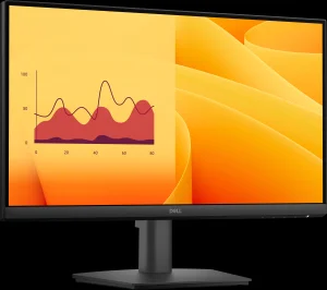 Écran 21,5" Full HD Dell Pro 22 (E2225HM)